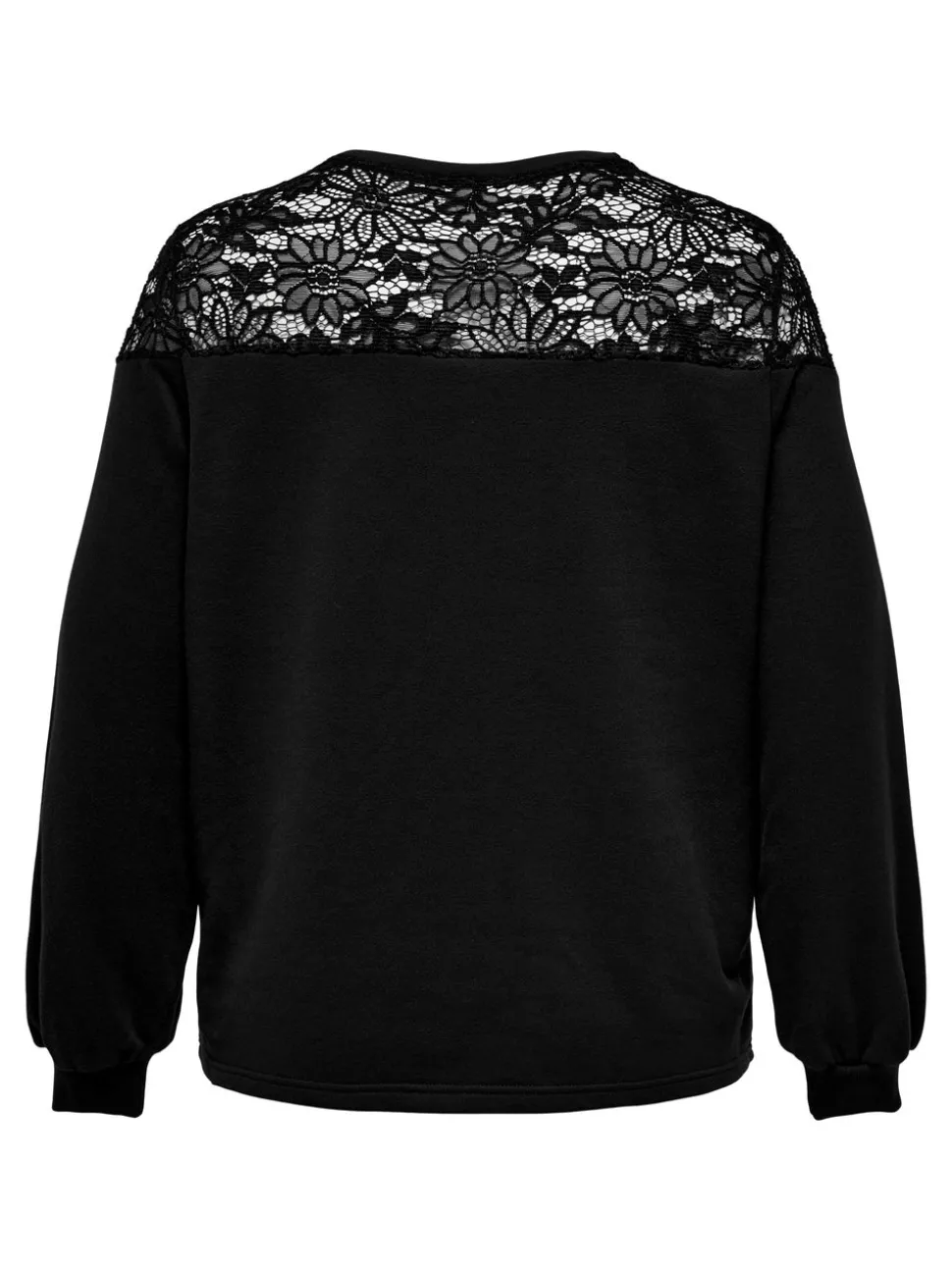 CARCATALINA Sweatshirt