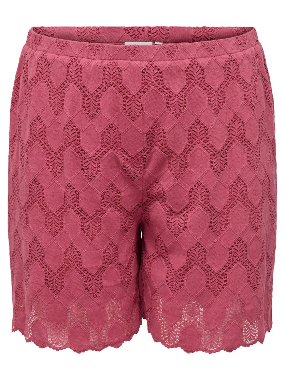 CARCLEANOR Regular Fit Shorts