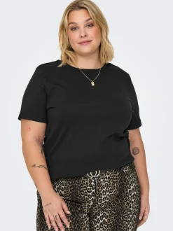 CARJEN Topp