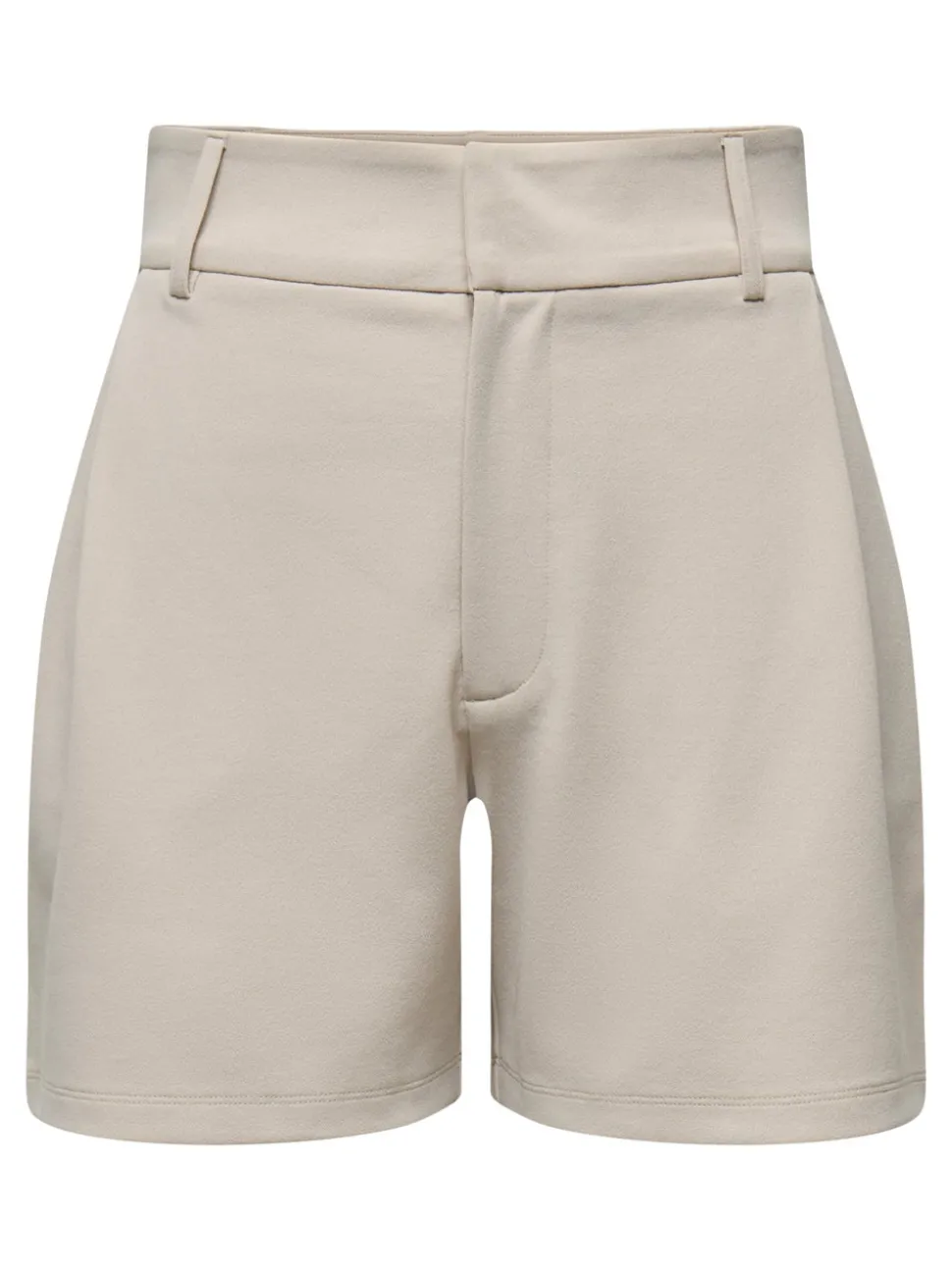 JDYGEGGO Regular Fit Shorts