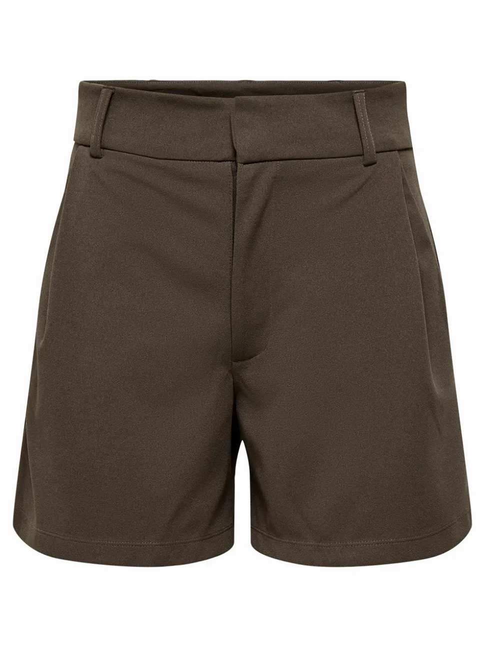 JDYGEGGO Regular Fit Shorts