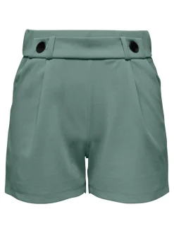 JDYGEGGO Regular Fit Shorts