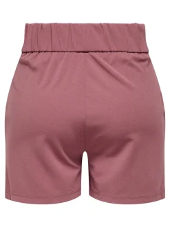 JDYGEGGO Regular Fit Shorts