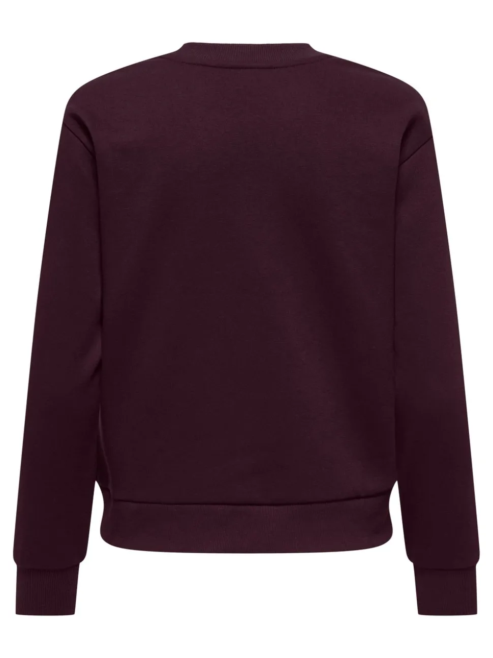 JDYPARIS Sweatshirt