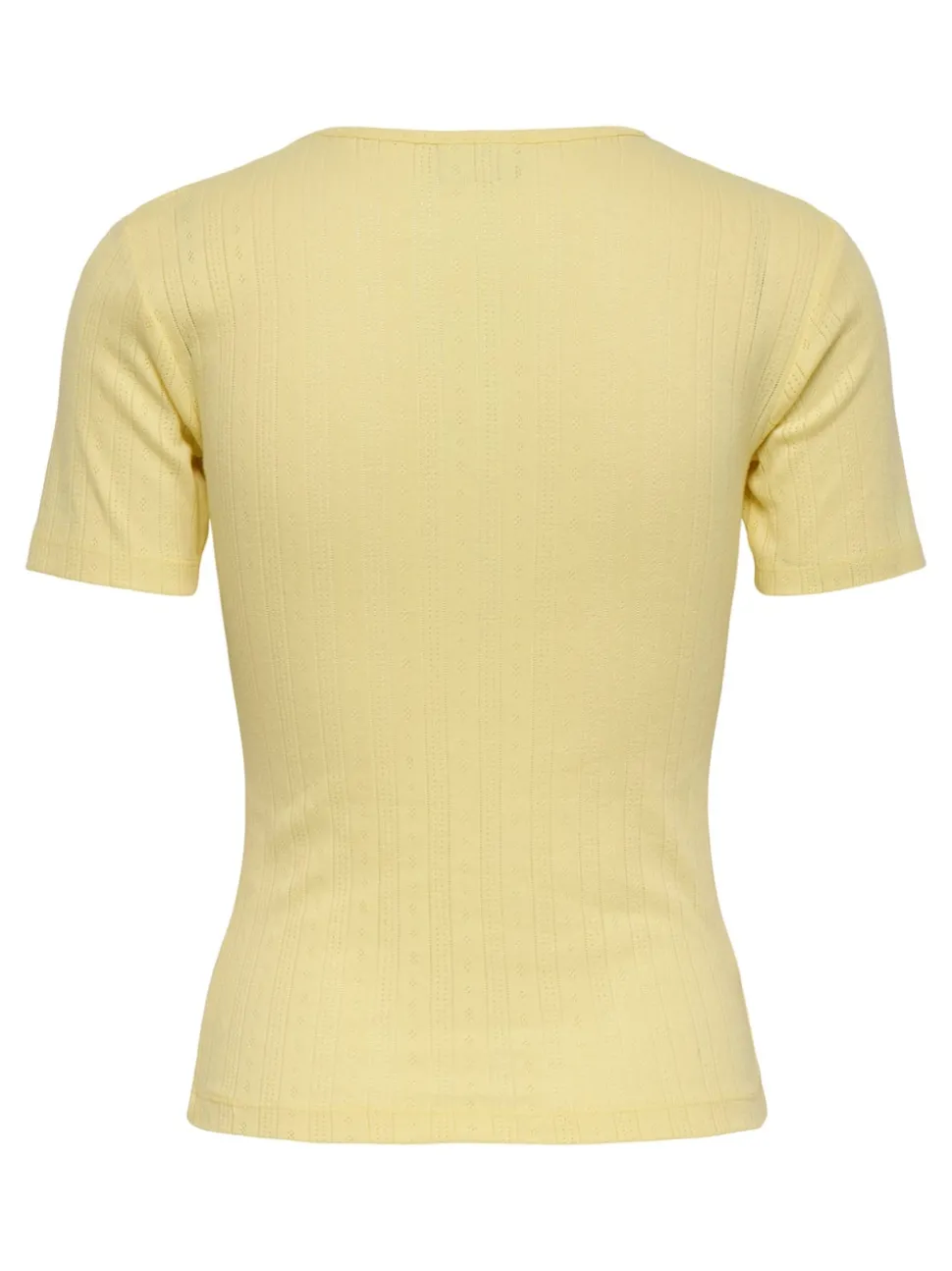 JDYSALSA Topp