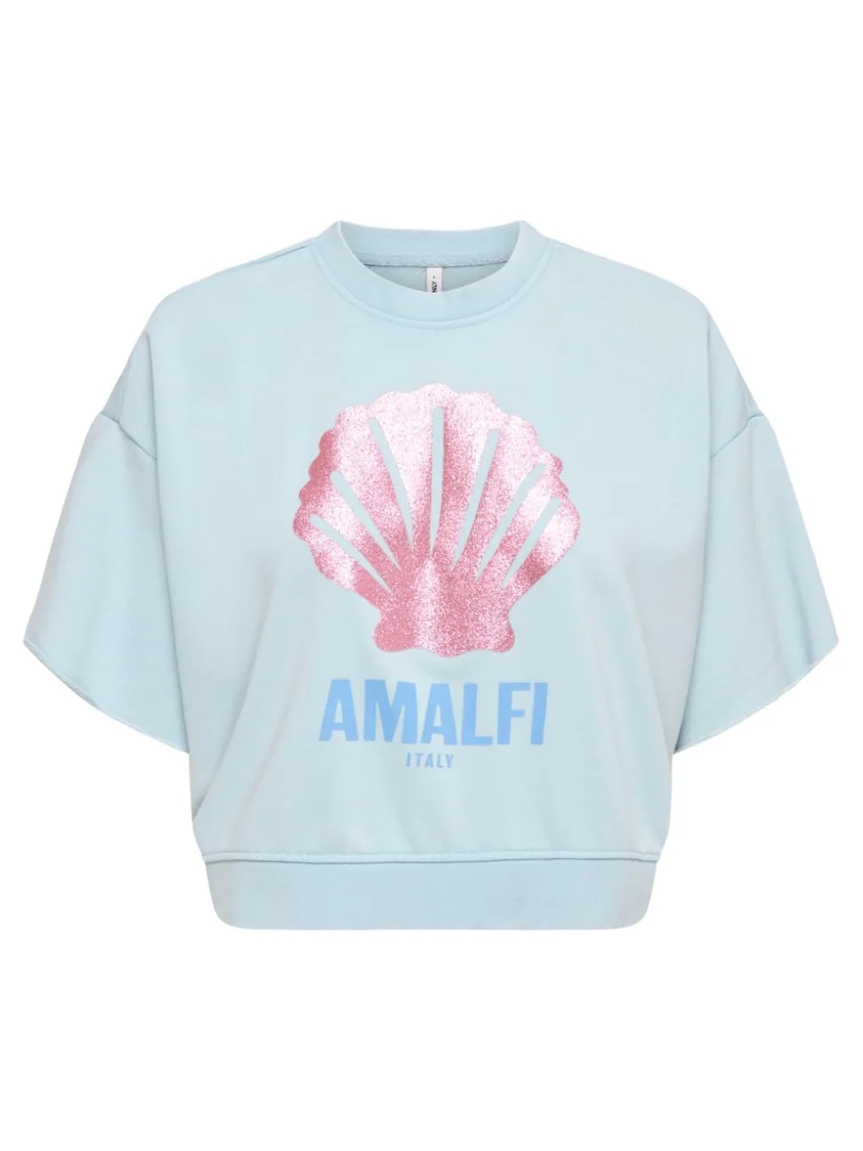 ONLCAPRI Sweatshirt