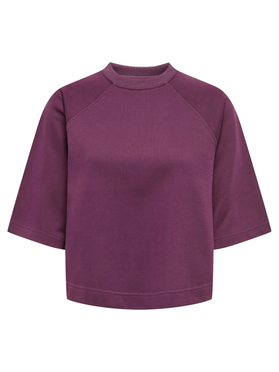 ONLDASIE Sweatshirt